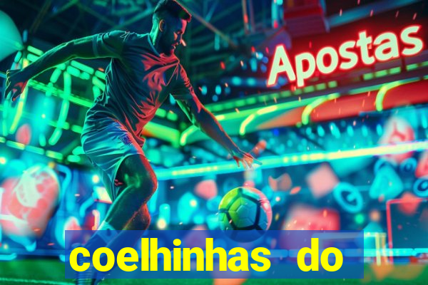 coelhinhas do brasil recife